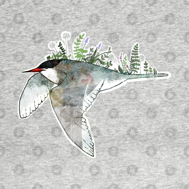 Arctic Tern by KatherineBlowerDesigns